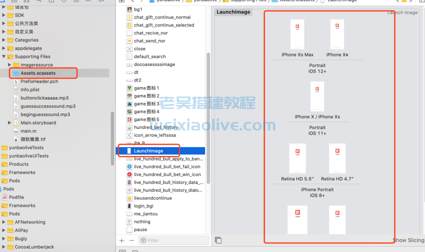 云豹直播IOS苹果端修改文档,云豹直播IOS苹果端修改文档  第4张,云豹直播,IOS苹果端,修改文档,第4张